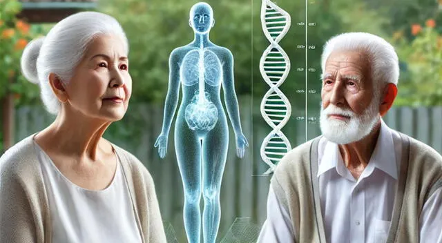 Klotho, en su forma secretada (s-KL), es considerada por muchos como una potencial proteína antienvejecimiento. Klotho, en su forma secretada (s-KL), es considerada por muchos como una potencial proteína antienvejecimiento.