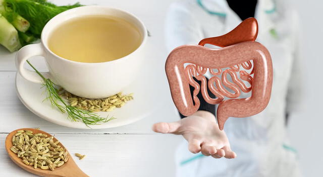 El hinojo ofrece beneficios que lo posicionan como un recurso natural valioso para tu bienestar digestivo El hinojo ofrece beneficios que lo posicionan como un recurso natural valioso para tu bienestar digestivo