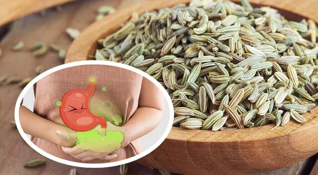 El hinojo es reconocido por su alto contenido de vitaminas, minerales y antioxidantes. El hinojo es reconocido por su alto contenido de vitaminas, minerales y antioxidantes.