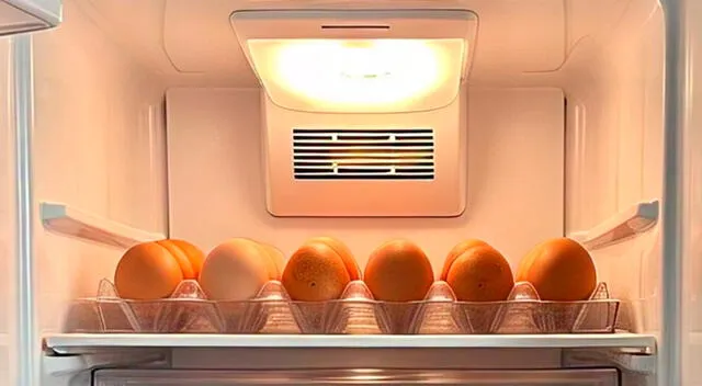 Se recomienda ubicar los huevos en los estantes superiores del frigorífico, donde el frío es más estable.