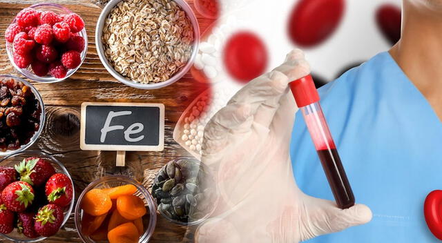 El consumo adecuado de hierro no solo previene la anemia, sino que contribuye al desarrollo integral. El consumo adecuado de hierro no solo previene la anemia, sino que contribuye al desarrollo integral.