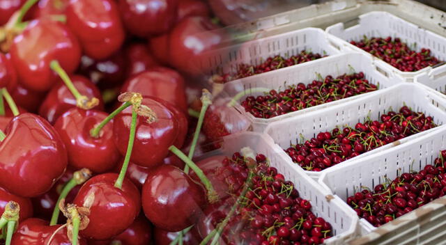 Conoce por qué deberías incluir a las cerezas en tus dietas diarias. Foto: composición GLR/difusión Conoce por qué deberías incluir a las cerezas en tus dietas diarias. Foto: composición GLR/difusión