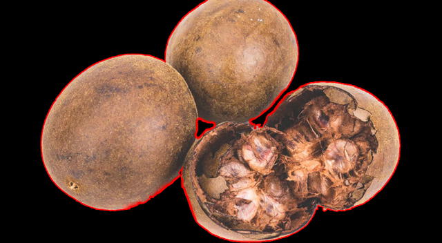 Descubre el sabor y los beneficios del fruto del monje. Foto: composición GLR/difusión Descubre el sabor y los beneficios del fruto del monje. Foto: composición GLR/difusión