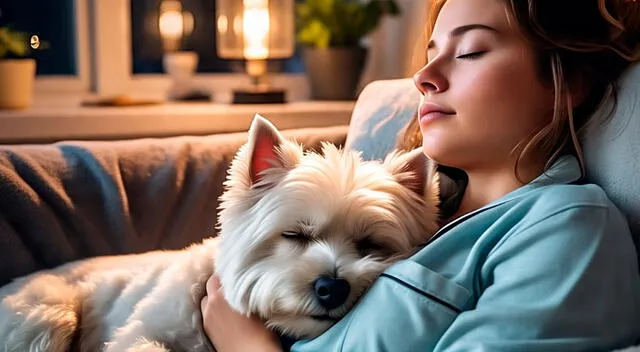 En definitiva, es bueno dormir con mascotas solo si esto no interfiere en tu calidad de sueño ni compromete tu salud. En definitiva, es bueno dormir con mascotas solo si esto no interfiere en tu calidad de sueño ni compromete tu salud.