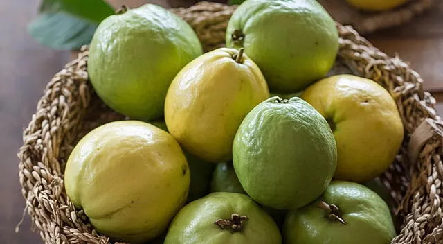La guayaba se ha relacionado con la capacidad de controlar la glucosa de forma natural. La guayaba se ha relacionado con la capacidad de controlar la glucosa de forma natural.