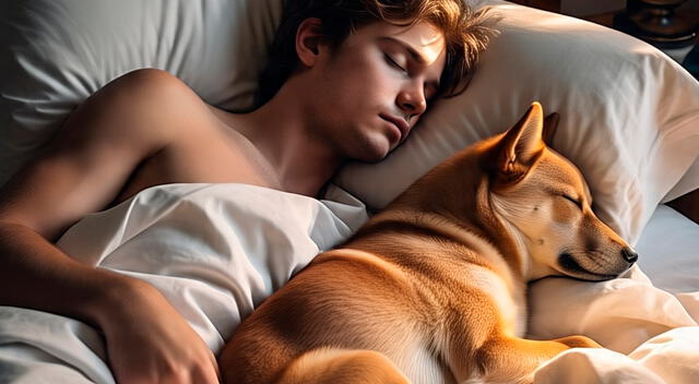 El gusto por los perros puede expresar una preferencia por relaciones auténticas. El gusto por los perros puede expresar una preferencia por relaciones auténticas.