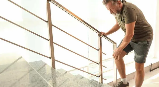 La rodilla es una de las articulaciones más castigadas del cuerpo humano. La rodilla es una de las articulaciones más castigadas del cuerpo humano.