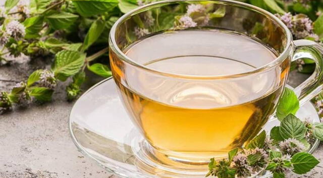 Cuidar el hígado no requiere de métodos invasivos ni costosos. Estos remedios caseros para el hígado pueden integrarse fácilmente en tu día a día.