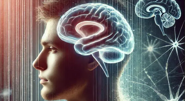 Hallan nueva proteína que podría frenar el avance del Alzheimer. Hallan nueva proteína que podría frenar el avance del Alzheimer.