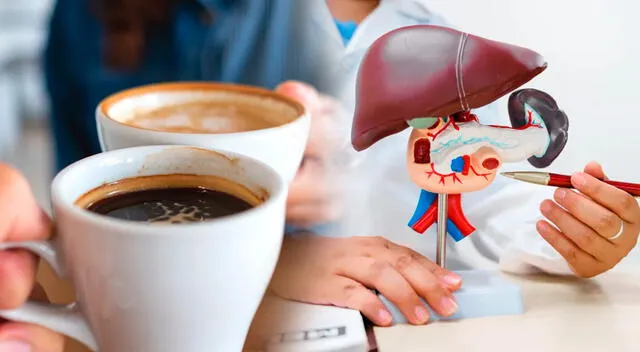 Polifenoles y cafeína componentes del café que podrían proteger al hígado y reducir la acumulación de grasa en personas con sobrepeso. Polifenoles y cafeína componentes del café que podrían proteger al hígado y reducir la acumulación de grasa en personas con sobrepeso.