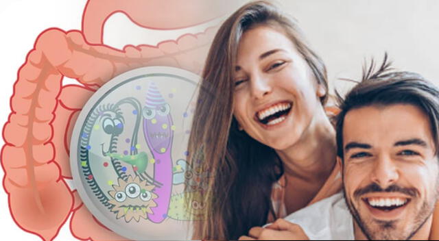 Mejorar tu dieta traerá beneficios para tu salud cardiovascular e intestinal. Foto: composición GLR/difusión Mejorar tu dieta traerá beneficios para tu salud cardiovascular e intestinal. Foto: composición GLR/difusión