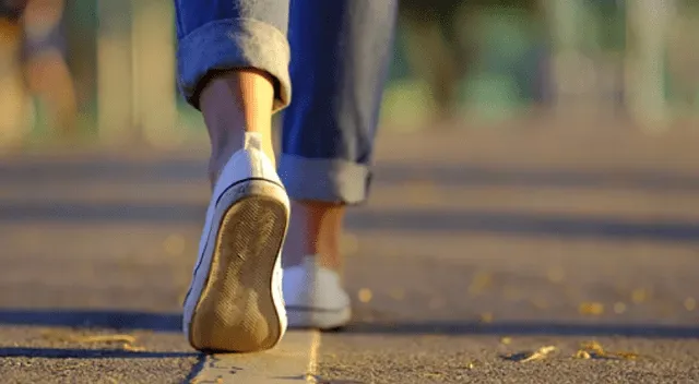 La movilidad articular es esencial para mantener un rango de movimiento saludable y prevenir rigidez muscular.