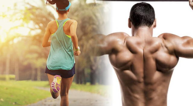 El entrenamiento en circuito de alta intensidad permite ganar fuerza y reducir grasa corporal con sesiones cortas y efectivas, ideales para quienes tienen poco tiempo. El entrenamiento en circuito de alta intensidad permite ganar fuerza y reducir grasa corporal con sesiones cortas y efectivas, ideales para quienes tienen poco tiempo.