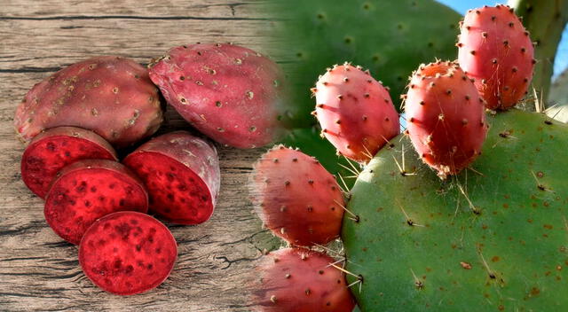 Además de ser refrescante, la tuna favorece la salud digestiva y es baja en calorías. 