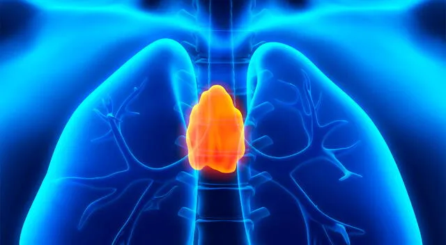 El timoma es un cáncer raro que se forma en el timo, un órgano que pertenece al sistema linfático y se localiza en la parte superior del tórax. El timoma es un cáncer raro que se forma en el timo, un órgano que pertenece al sistema linfático y se localiza en la parte superior del tórax.