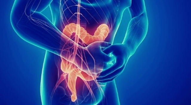Si no cuidamos activamente de nuestro sistema digestivo, podríamos afectar no solo nuestras digestiones, sino también nuestro nivel de energía. Si no cuidamos activamente de nuestro sistema digestivo, podríamos afectar no solo nuestras digestiones, sino también nuestro nivel de energía.