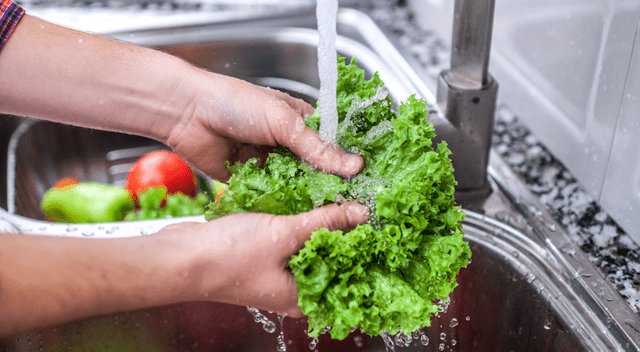 Hervir las verduras de hoja verde y desechar el agua de cocción es una técnica que ayuda a reducir el contenido de oxalatos y proteger la salud renal. Hervir las verduras de hoja verde y desechar el agua de cocción es una técnica que ayuda a reducir el contenido de oxalatos y proteger la salud renal.