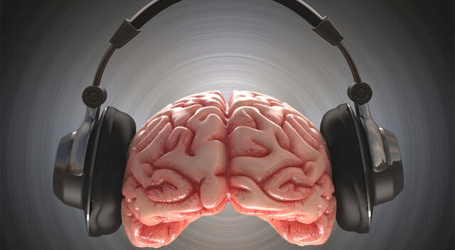 Gracias a técnicas como FREQ-NESS, los científicos pueden observar en tiempo real cómo la música modifica la actividad cerebral. Gracias a técnicas como FREQ-NESS, los científicos pueden observar en tiempo real cómo la música modifica la actividad cerebral.