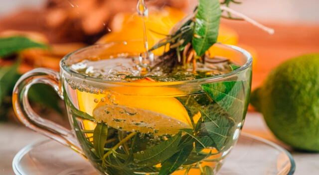 Tanto el romero como el laurel contienen compuestos bioactivos con efectos antiinflamatorios, antioxidantes y relajantes. Tanto el romero como el laurel contienen compuestos bioactivos con efectos antiinflamatorios, antioxidantes y relajantes.