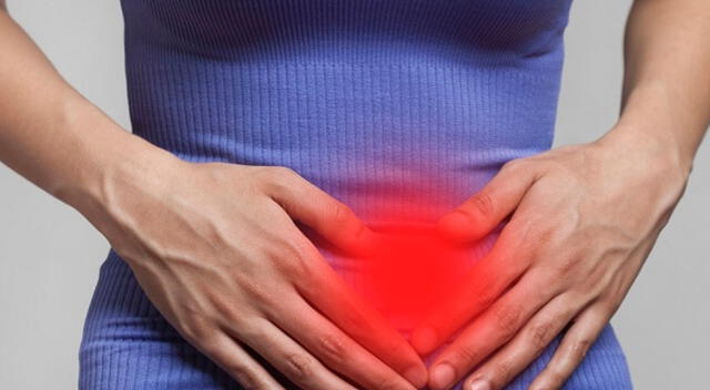 Los cambios hormonales que ocurren durante la menstruación afectan el sistema muscular y el nivel de inflamación del cuerpo. Los cambios hormonales que ocurren durante la menstruación afectan el sistema muscular y el nivel de inflamación del cuerpo.