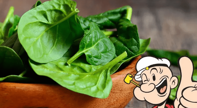 Las verduras de hoja verde, los frutos secos y las bayas son aliados clave para mantener la salud cerebral y prevenir el deterioro cognitivo. Las verduras de hoja verde, los frutos secos y las bayas son aliados clave para mantener la salud cerebral y prevenir el deterioro cognitivo.