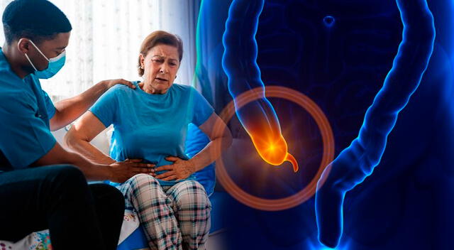 El anticuerpo monoclonal anti-Gal-1, desarrollado por el equipo liderado por Gabriel Rabinovich, muestra resultados prometedores en la lucha contra el cáncer. El anticuerpo monoclonal anti-Gal-1, desarrollado por el equipo liderado por Gabriel Rabinovich, muestra resultados prometedores en la lucha contra el cáncer.