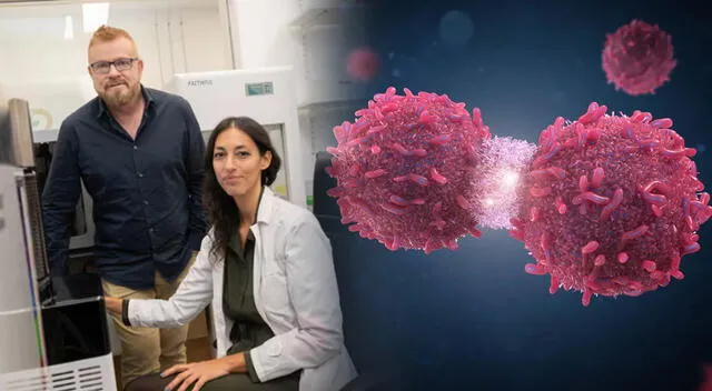 Científicos argentinos avanzan en un tratamiento innovador para frenar el crecimiento de tumores mediante la reprogramación de células del sistema inmunológico. Científicos argentinos avanzan en un tratamiento innovador para frenar el crecimiento de tumores mediante la reprogramación de células del sistema inmunológico.
