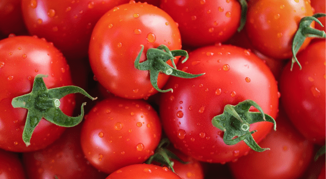 El tomate es una fuente natural de licopenos, antioxidantes que ayudan a proteger la salud prostática y reducir el riesgo de cáncer de próstata. El tomate es una fuente natural de licopenos, antioxidantes que ayudan a proteger la salud prostática y reducir el riesgo de cáncer de próstata.