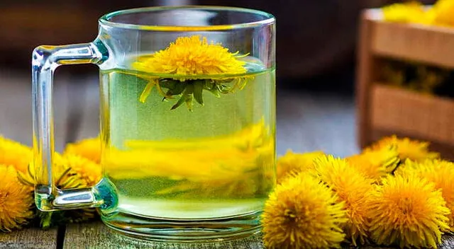 Las formas de consumo del diente de león son variadas: desde infusiones hechas con hojas o raíces secas. Las formas de consumo del diente de león son variadas: desde infusiones hechas con hojas o raíces secas.