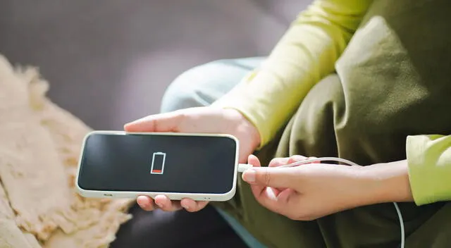 Según recomendaciones de Apple, la mejor práctica es primero desconectar el cable del celular y luego retirar el cargador. Según recomendaciones de Apple, la mejor práctica es primero desconectar el cable del celular y luego retirar el cargador.