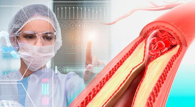 Científicos de Harvard crearon vasos sanguíneos con células madre e inteligencia artificial. Científicos de Harvard crearon vasos sanguíneos con células madre e inteligencia artificial.