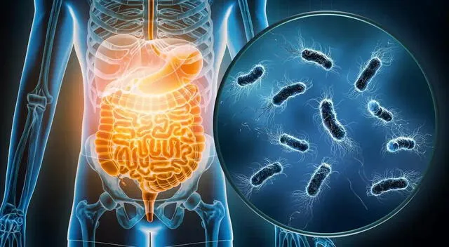 Los síntomas comunes de la gastroenteritis incluyen diarrea, vómitos y dolor abdominal. Los síntomas comunes de la gastroenteritis incluyen diarrea, vómitos y dolor abdominal.