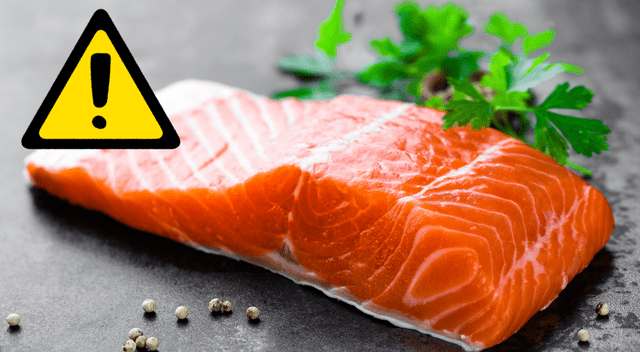 Los salmones reciben una alimentación basada en harinas procesadas y se les aplica una variedad de compuestos químicos para prevenir infecciones. Los salmones reciben una alimentación basada en harinas procesadas y se les aplica una variedad de compuestos químicos para prevenir infecciones.