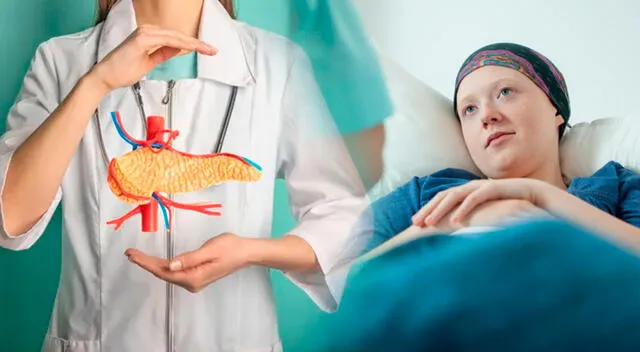 El estudio más reciente, encontró que la relación entre el microbioma intestinal y el cáncer de páncreas se mantiene en diferentes poblaciones del mundo. El estudio más reciente, encontró que la relación entre el microbioma intestinal y el cáncer de páncreas se mantiene en diferentes poblaciones del mundo.