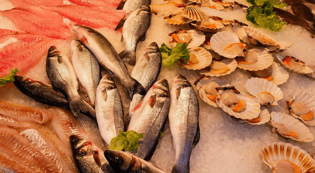 El pescado, rico en Omega-3, fortalece el sistema inmunológico y protege los pulmones contra infecciones respiratorias. 