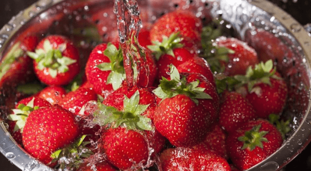Las fresas son ricas en antioxidantes y vitamina C, ideales para fortalecer el sistema inmunológico y cuidar el corazón. Las fresas son ricas en antioxidantes y vitamina C, ideales para fortalecer el sistema inmunológico y cuidar el corazón.