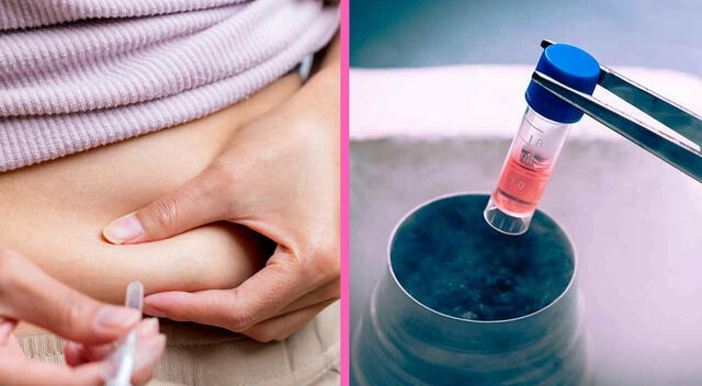 La congelación de óvulos ayuda a disminuir la incidencia de abortos y alteraciones genéticas. La congelación de óvulos ayuda a disminuir la incidencia de abortos y alteraciones genéticas.