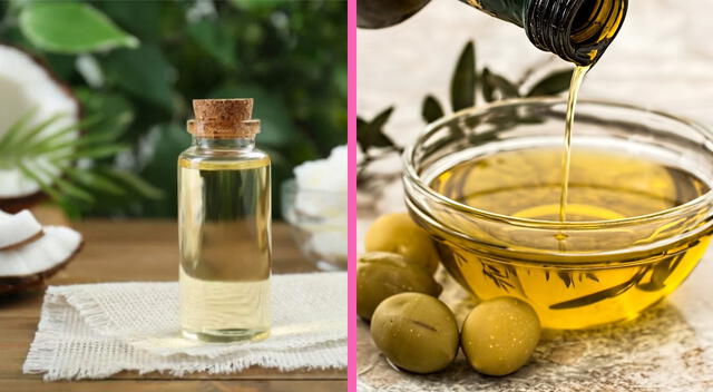 Expertos recomiendan el aceite de oliva en vez del aceite de coco. Expertos recomiendan el aceite de oliva en vez del aceite de coco.