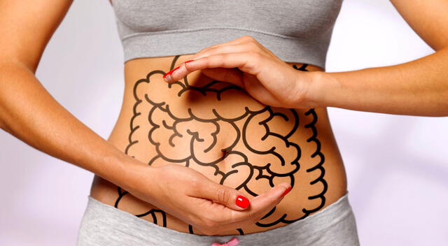 La ciruela ofrece beneficios a nuestra digestión. La ciruela ofrece beneficios a nuestra digestión.