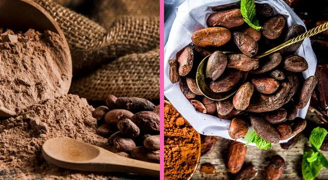 El cacao puro proviene directamente de la fermentación. El cacao puro proviene directamente de la fermentación.