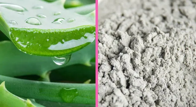 Sábila (Aloe vera) o arcilla médica gris.