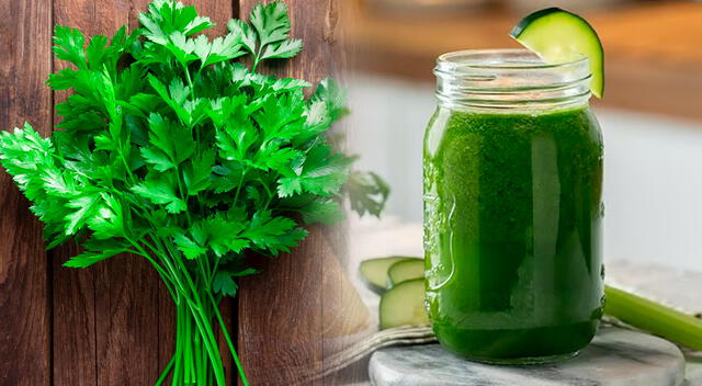 El jugo de perejil también contiene nitritos, que tienen efectos vasodilatadores, ayudando a relajar los vasos sanguíneos y mejorar la circulación. 
