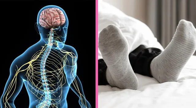 Dormir con medias ayuda a calmar el sistema nervioso. Dormir con medias ayuda a calmar el sistema nervioso.