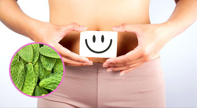 La cáscara de la tuna ayuda a tener una mejor salud intestinal. La cáscara de la tuna ayuda a tener una mejor salud intestinal.
