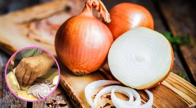 La cebolla aporta muchos beneficios para la salud La cebolla aporta muchos beneficios para la salud