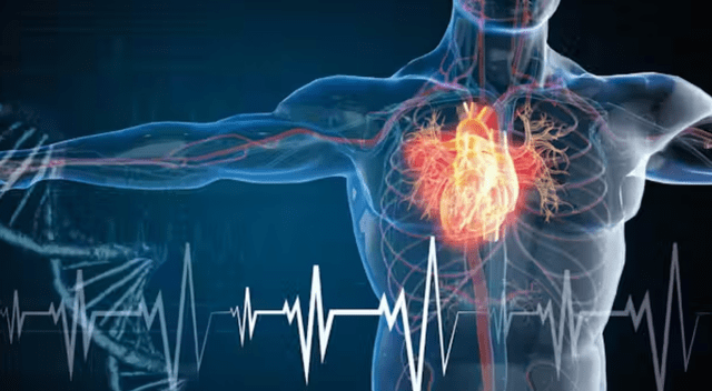 El Minsa recomienda protegerse del frío y mantener hábitos saludables para reducir complicaciones cardiovasculares. El Minsa recomienda protegerse del frío y mantener hábitos saludables para reducir complicaciones cardiovasculares.