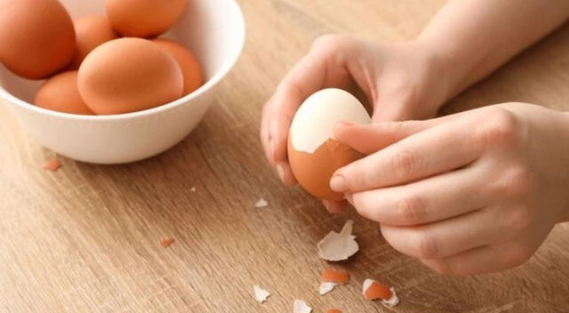 El consumo de cáscara de huevo debe realizarse bajo supervisión de un médico o nutricionista. El consumo de cáscara de huevo debe realizarse bajo supervisión de un médico o nutricionista.