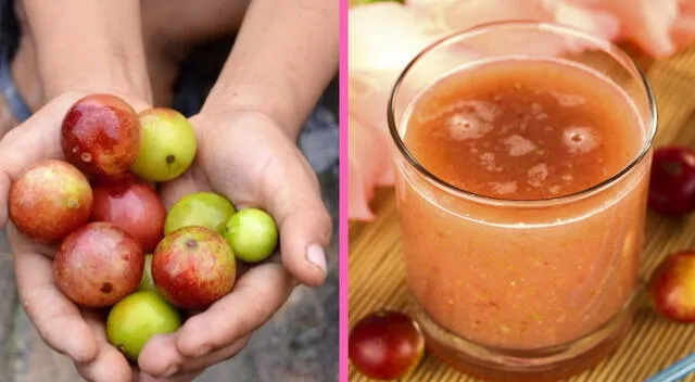 El camu camu es esencial para reparar tejidos, fortalecer las defensas y producir colágeno. El camu camu es esencial para reparar tejidos, fortalecer las defensas y producir colágeno.