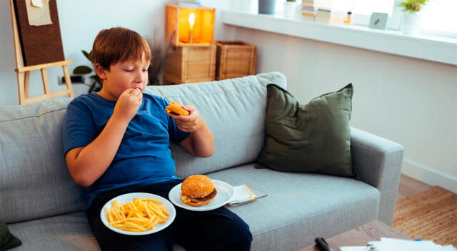 El consumo frecuente de comida ultraprocesada y bebidas azucaradas aumenta el riesgo de sobrepeso en niños y niñas. El consumo frecuente de comida ultraprocesada y bebidas azucaradas aumenta el riesgo de sobrepeso en niños y niñas.