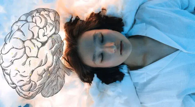 El cerebro sigue funcionando, a pesar de estar durmiendo. El cerebro sigue funcionando, a pesar de estar durmiendo.